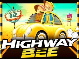 Highway Bee game icon